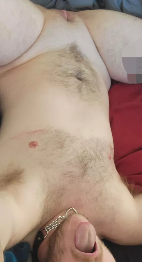 ftm puppy waiting for my tail to arrive in the mail~