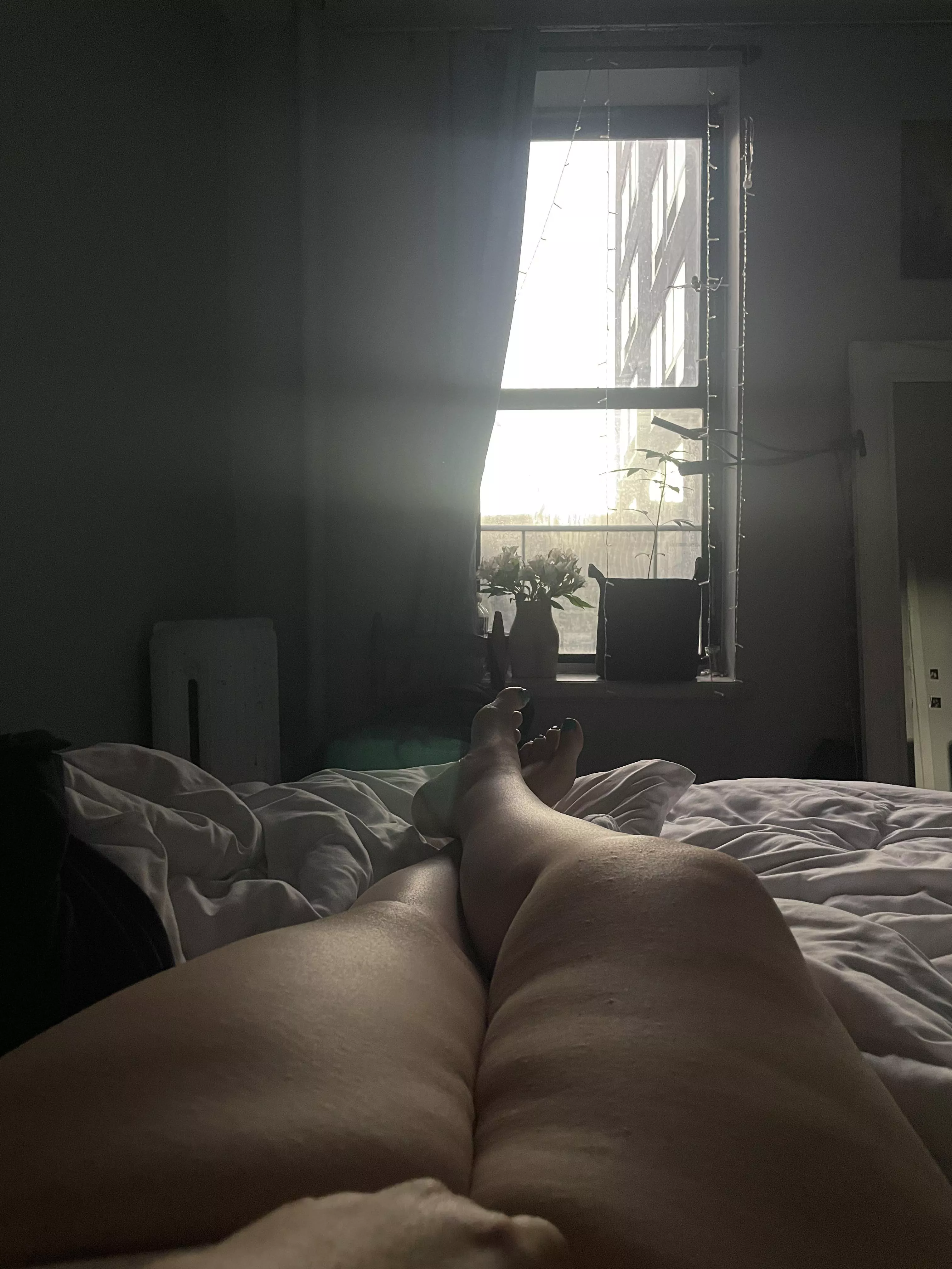 Good morning ☀️