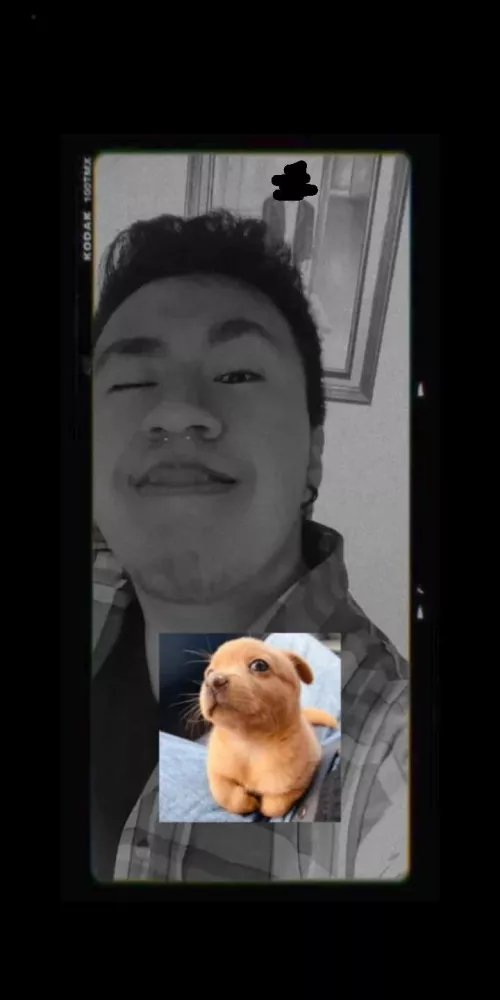 I need friends to play lol, valorant or Genshin, or anyone down to chat!