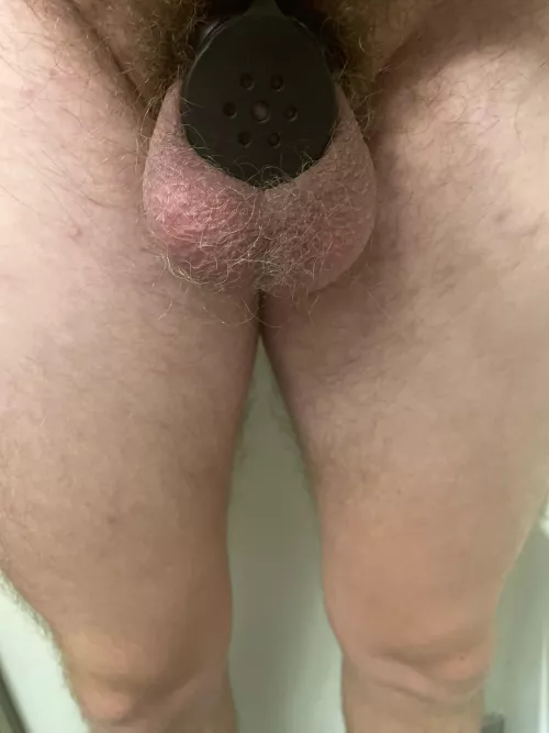 Idk if I like this cage or not help me decide