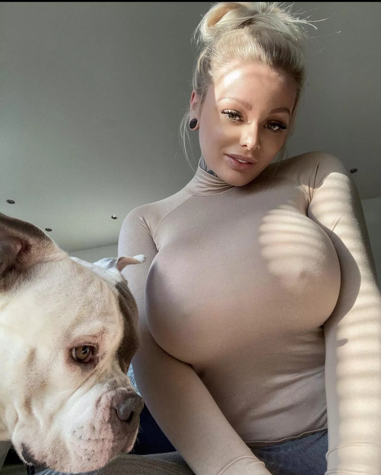 Lucky dog