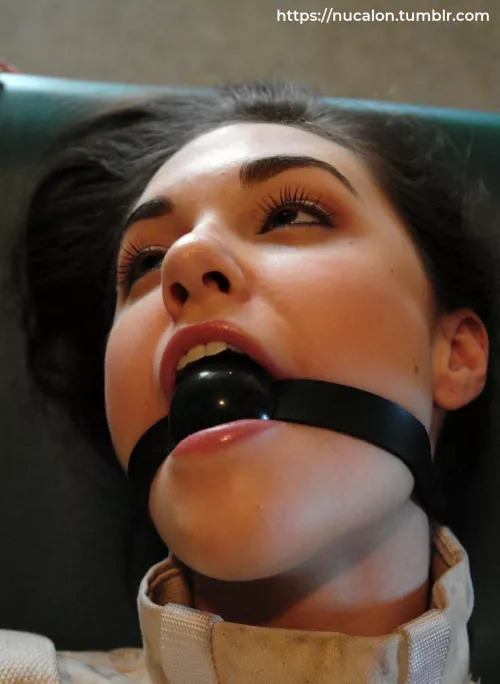 Silence. ↓↓↓↓