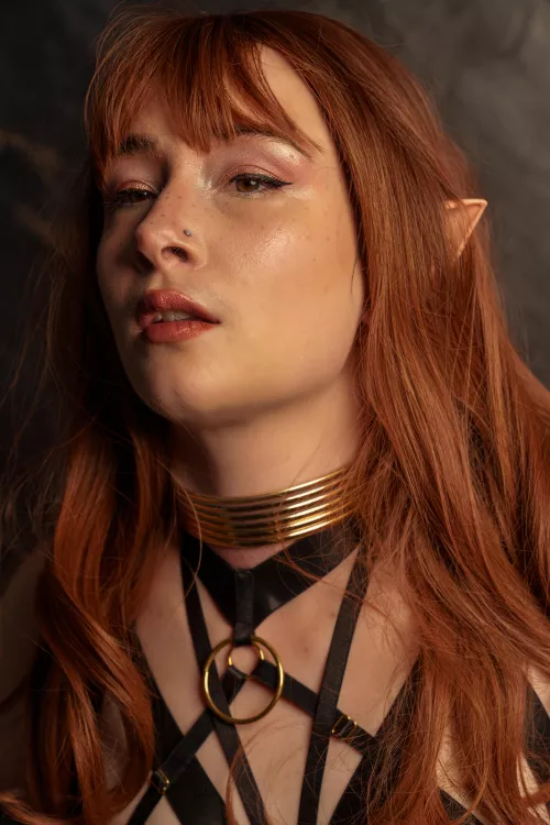 Adore this pic from a recent photoshoot wearing my thick gold band collar and harness 🥰 pity I'm not owned 😮‍💨