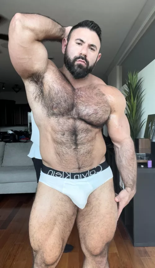 Hairy 🐻