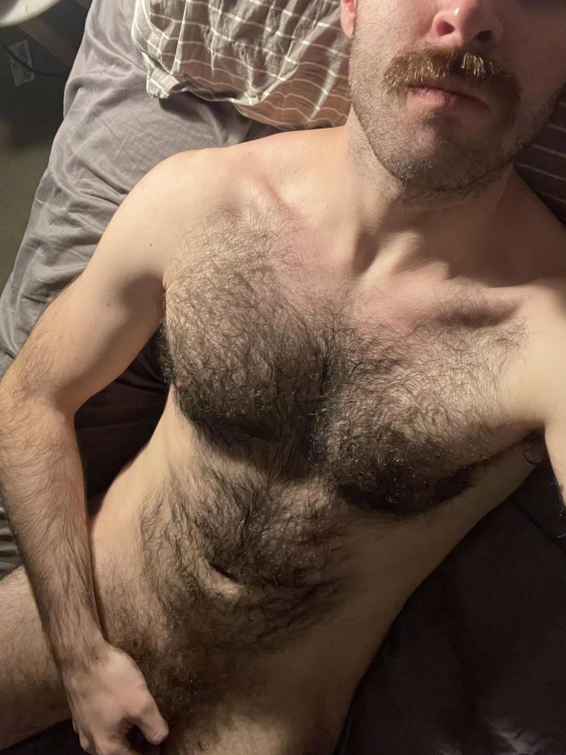 Heading to the US soon for a month for work, hopefully Americans like hairy Aussie guys (and dumb accents) Heading to the US soon for a month for work, hopefully Americans like hairy Aussie guys (and dumb accents)