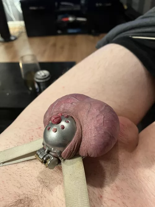 How well my cage holds my hard 8 inch cock. It soon gives up