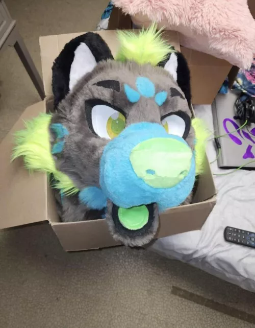 My first (non self built) fursuit is on the way! Estimated arrival by Tuesday! So excited! She’s a hyena if you couldn’t tell. Expect fursuiting pics soon!