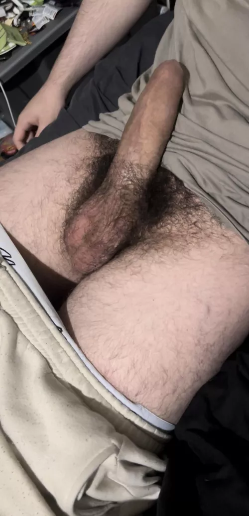 My huge cock and bush🌲🍆😈Dms open😈