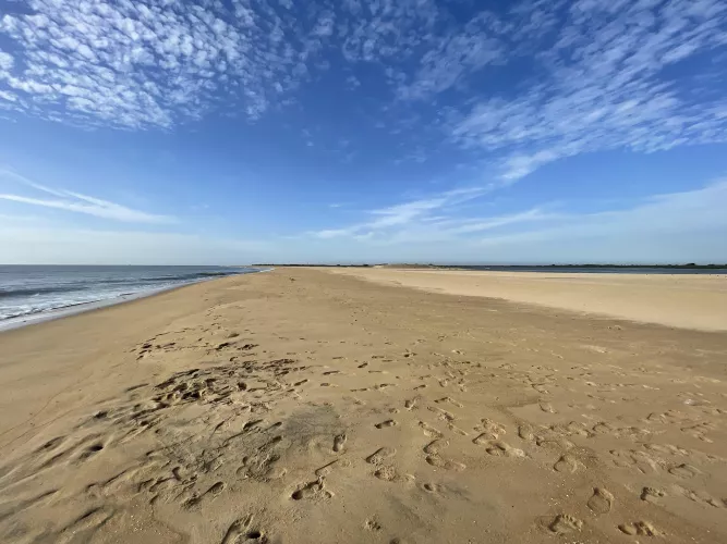 Pristine beach on a sandbar