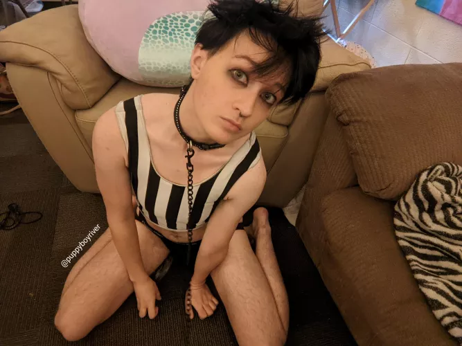 Sitting and staying like a good dog 🐶