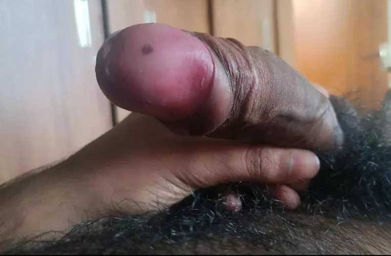 Where do you want me to put this BBC Dm's are open