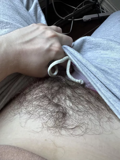 you pull down my pants and see all this hair .. what you doing?