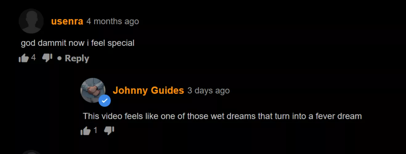 context: the video was about some camera-dildo footage