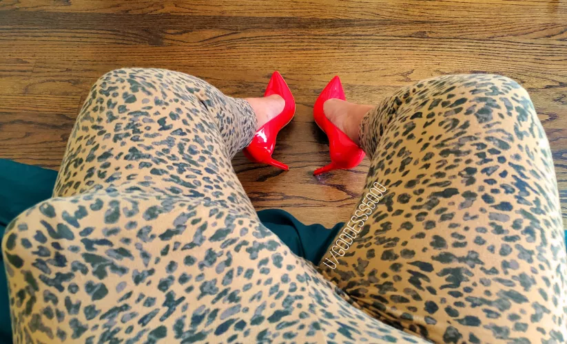 I want you to grab my hidden Goddess cock and beg for me to whip it out!