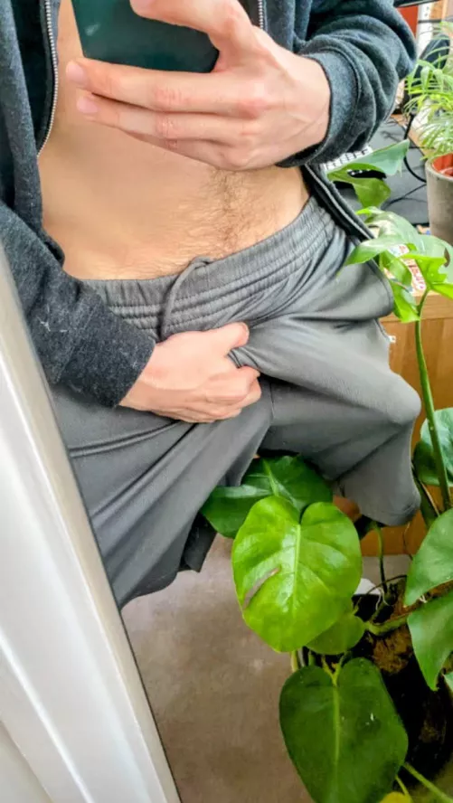 I'd like to fuck you in front of the mirror please