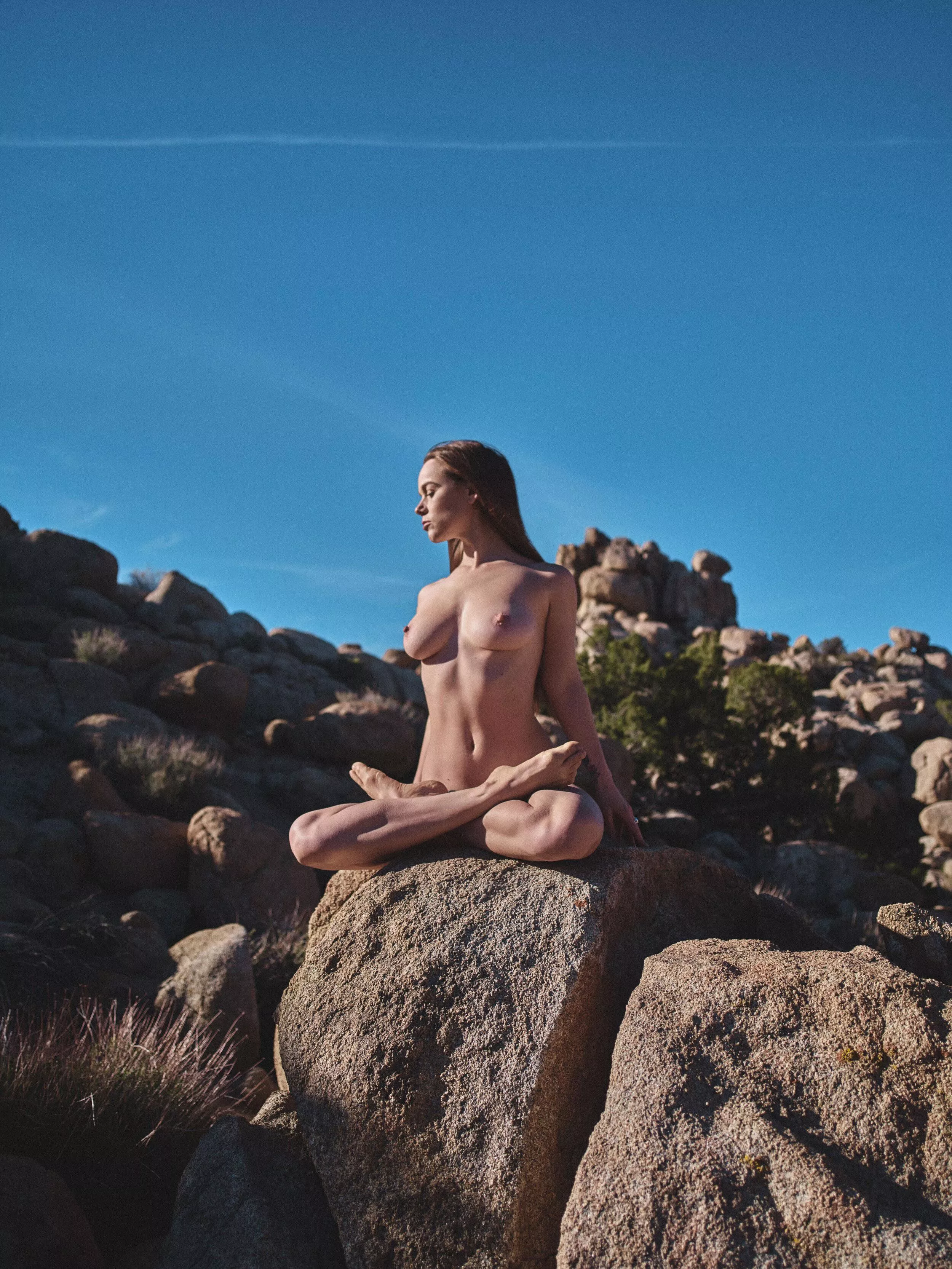 Lotus pose 🪷