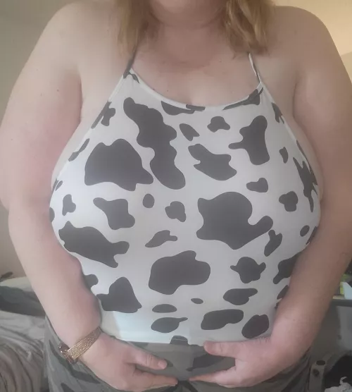 Milk these udders
