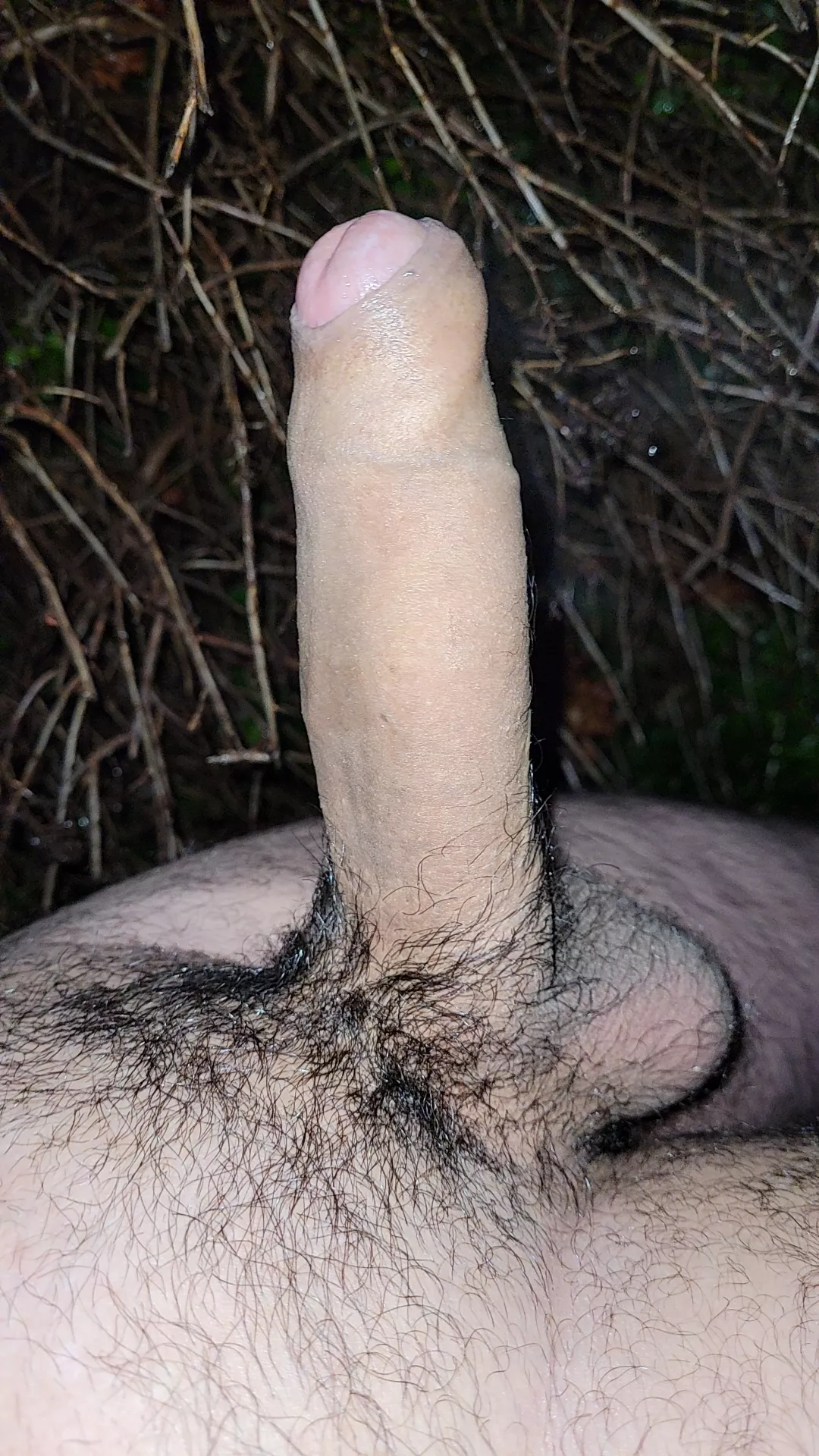 my cock is steaming in this cold, help me