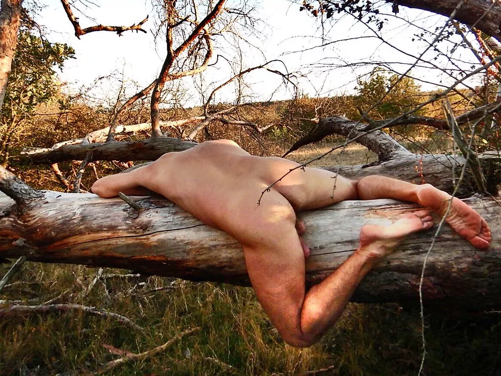On the trunk [M]
