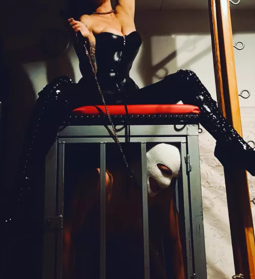 Such a good boy even confined in such a little cage. ❤️