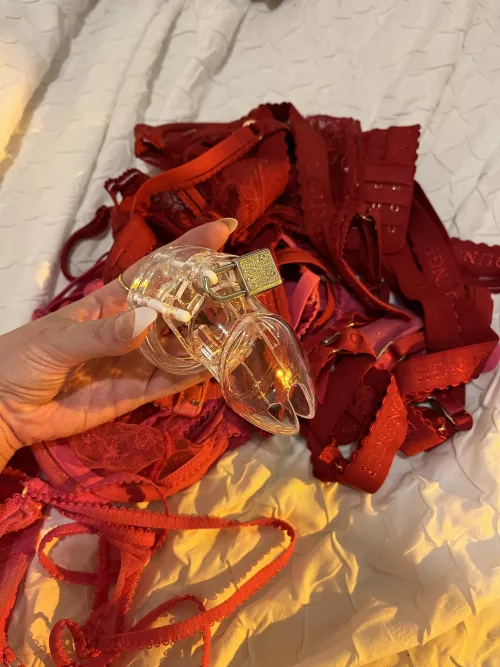 You need to squeeze yourself into a cage whilst I dress in hot lingerie and fuck my boyfriend in front of you 🥰🔐