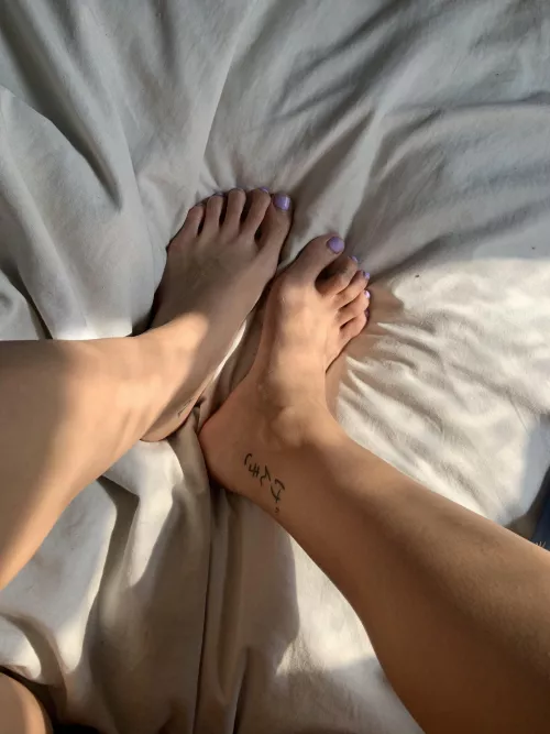 Catch the sunlight on my feet with your tongue?