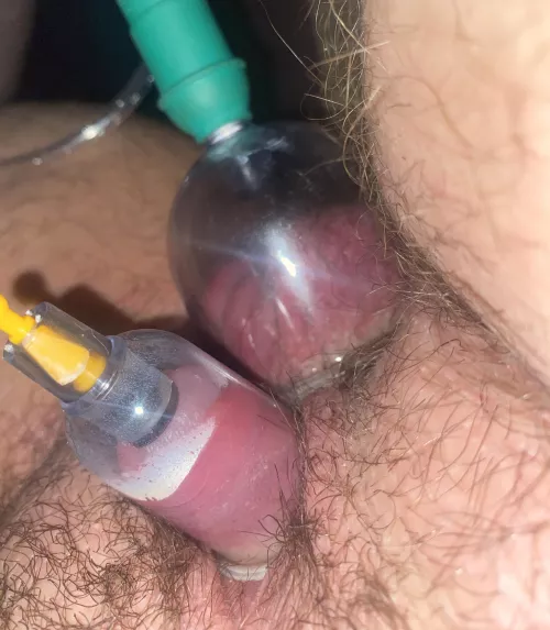 Double cup. Outgrowing.