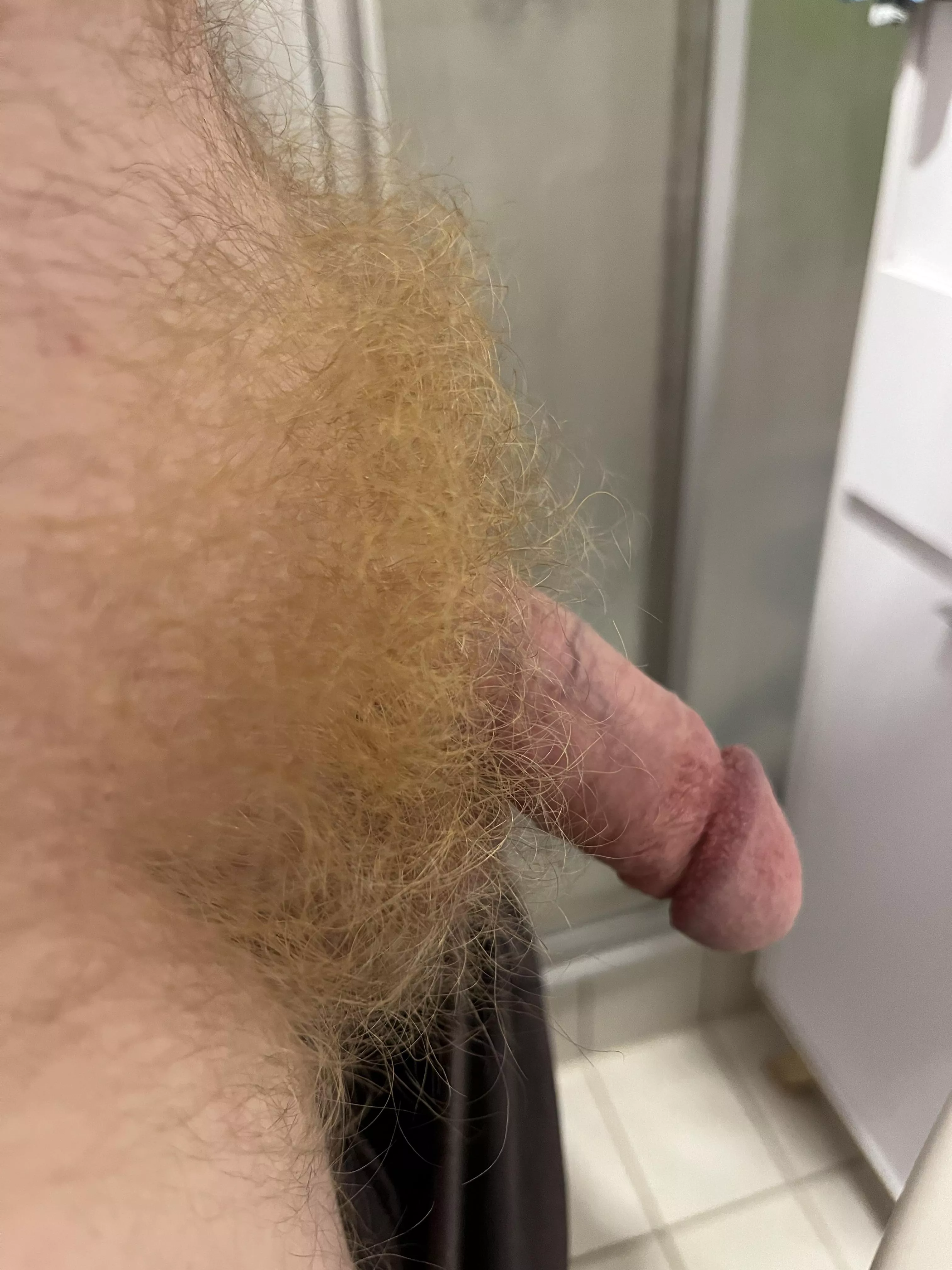 Fire bush