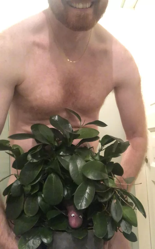 Here we can see the rare Trouser Snake peeking out from its nest