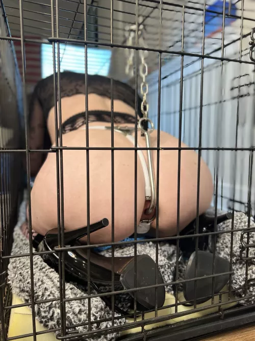 Hooked to the cage [f]