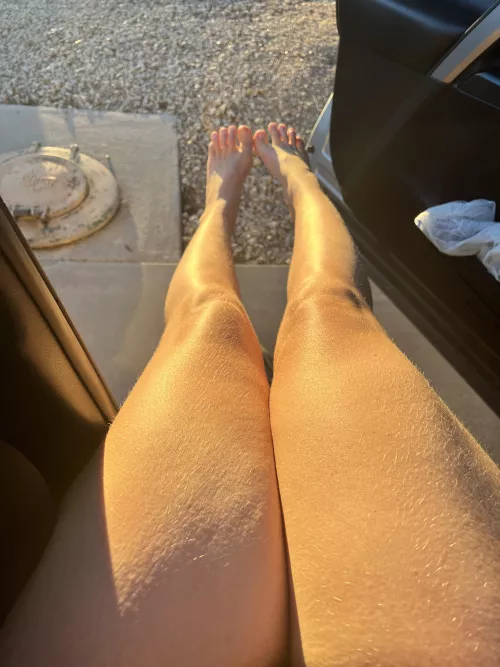 Long and thick to straddle you with