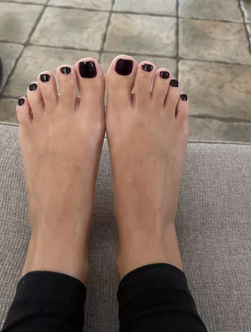 New pedi with dark purple for the spooky season!