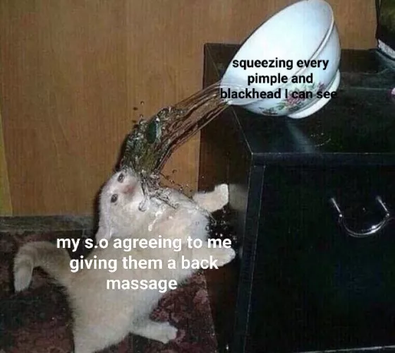 poor quality meme, oc