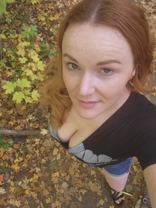 what beautiful leaves 🍂