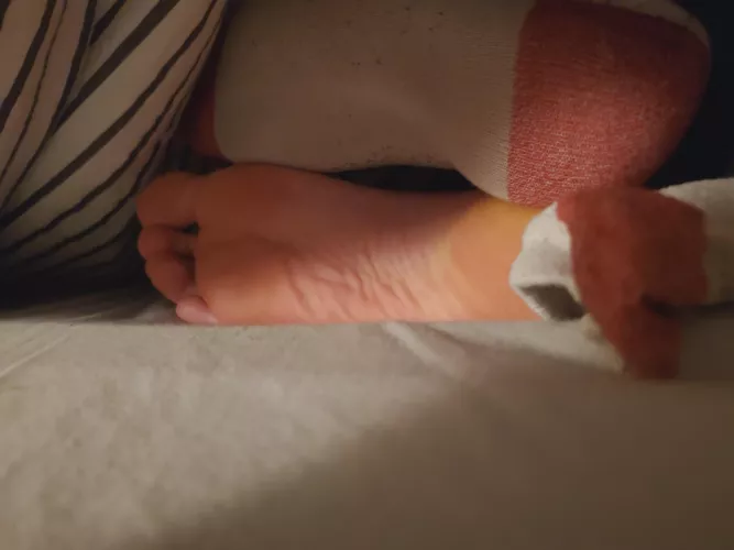 Would you get your head under the blanket? 😋