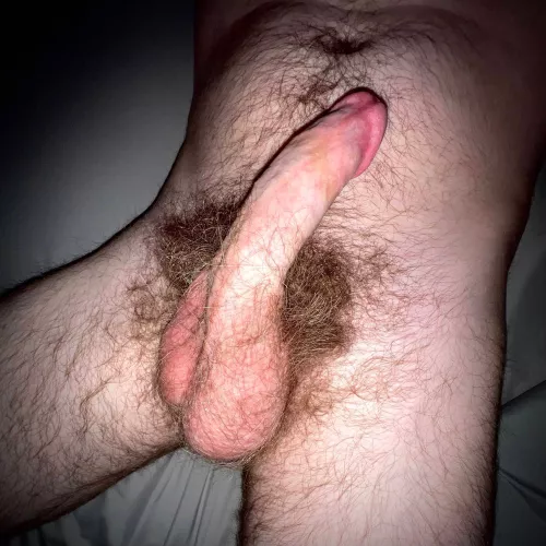 Would you let me breed you?