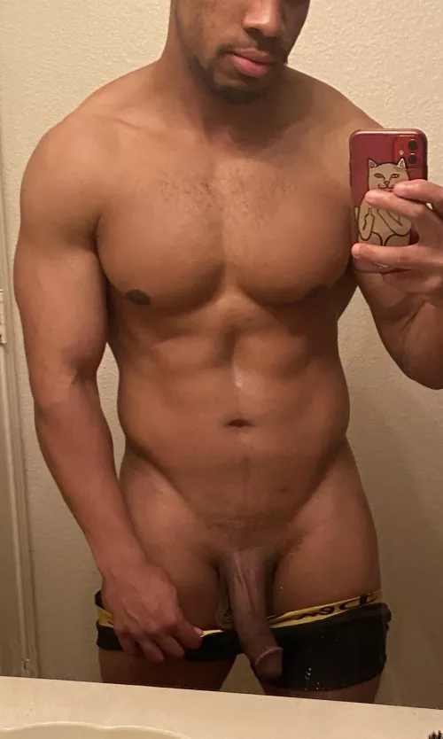 29 8” BBC Bull looking for some fun with hotwives in the area.