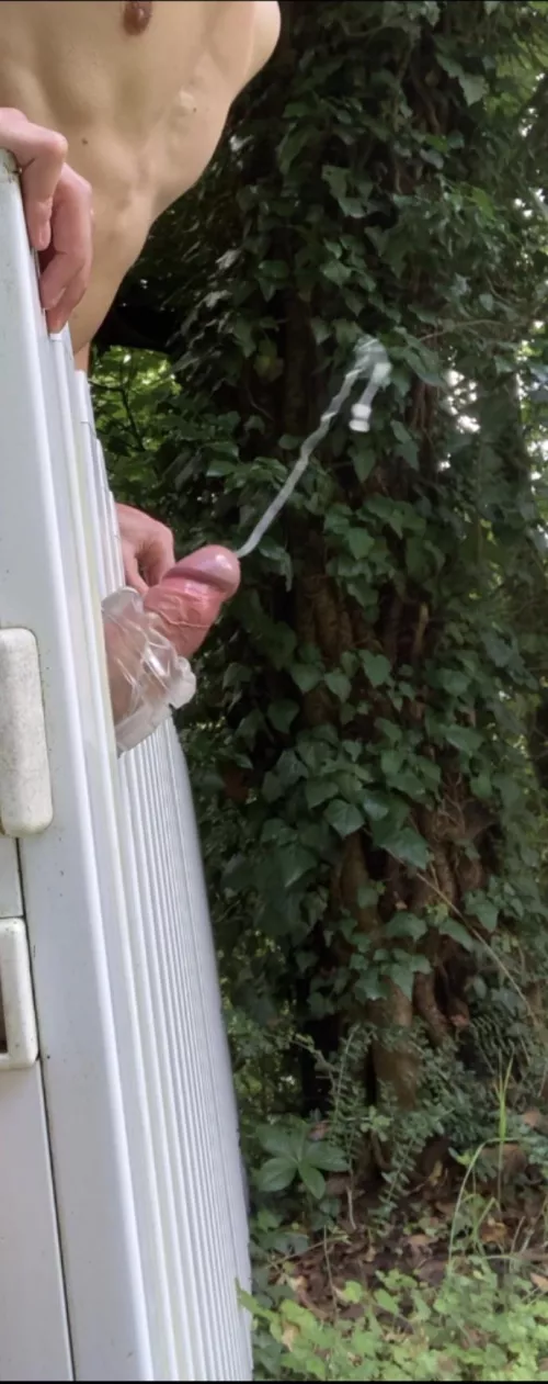 Did you ever fuck a public garden fence and nutted when some hunks were stopping and staring at you? I did 🙈🍂🍁🍃🤓