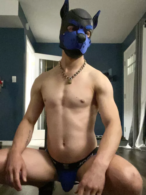Hey pups, happy Sunday! 🐾🐾