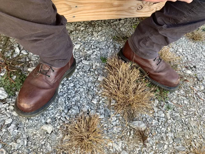 His boots are looking mighty lick-able this morning