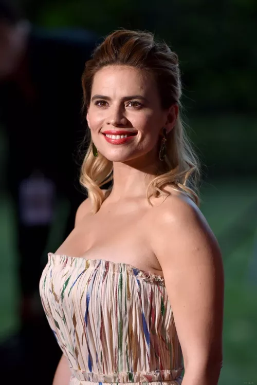 massive Fun bags of Hayley Atwell