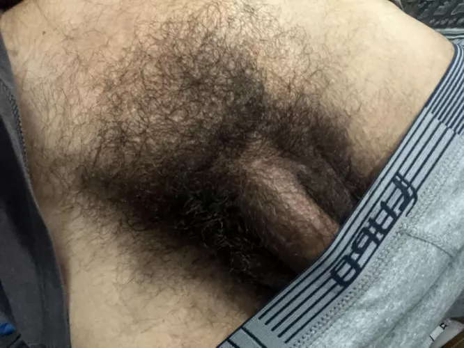 monday morning bush check