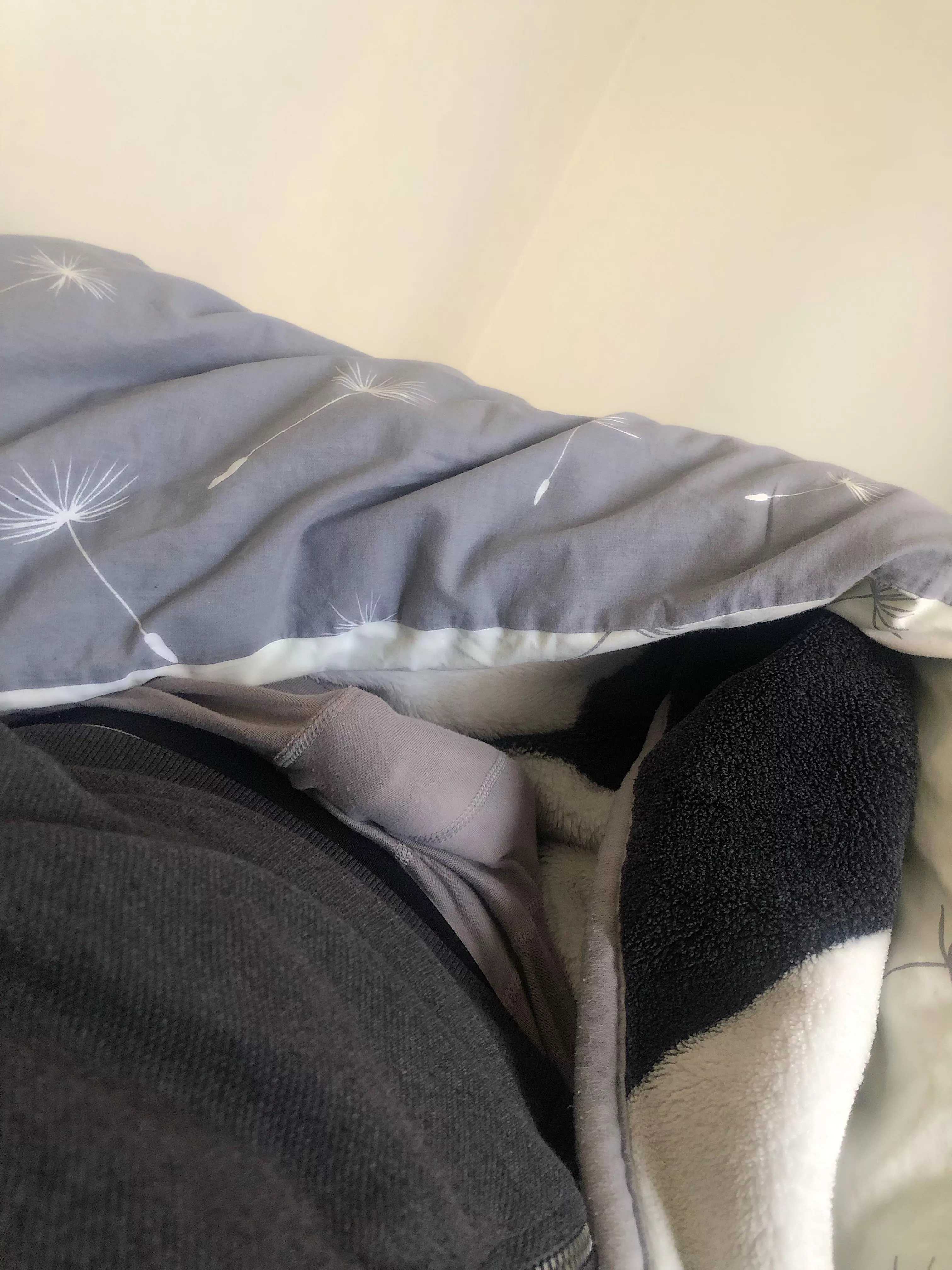 Morning wood