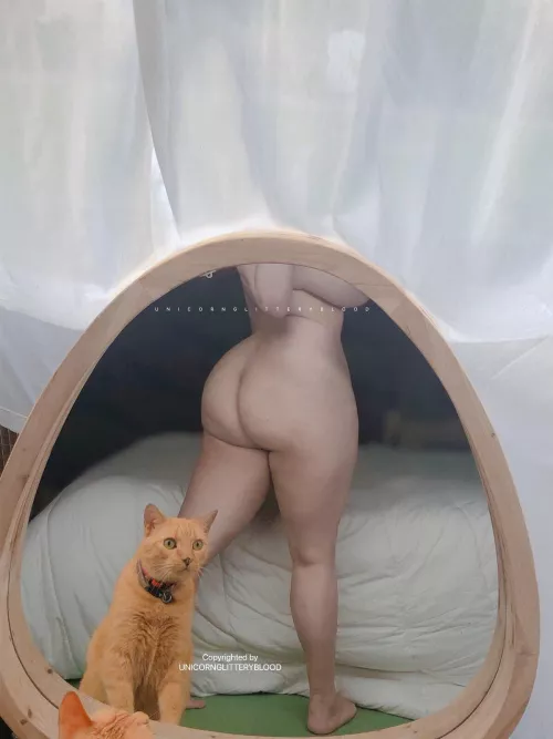 [OC] the cat photobombed me 😂