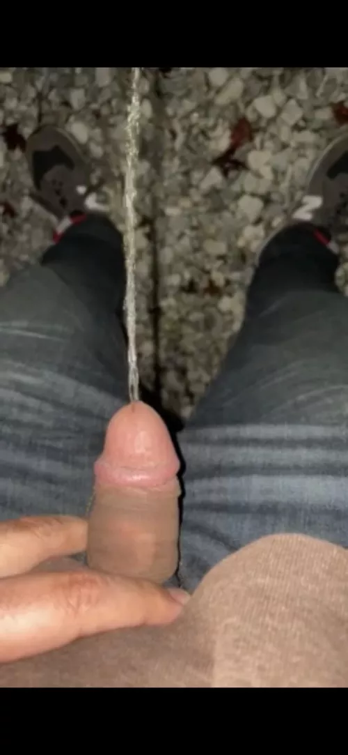 Pissing in my yard. How do I post videos here?!?