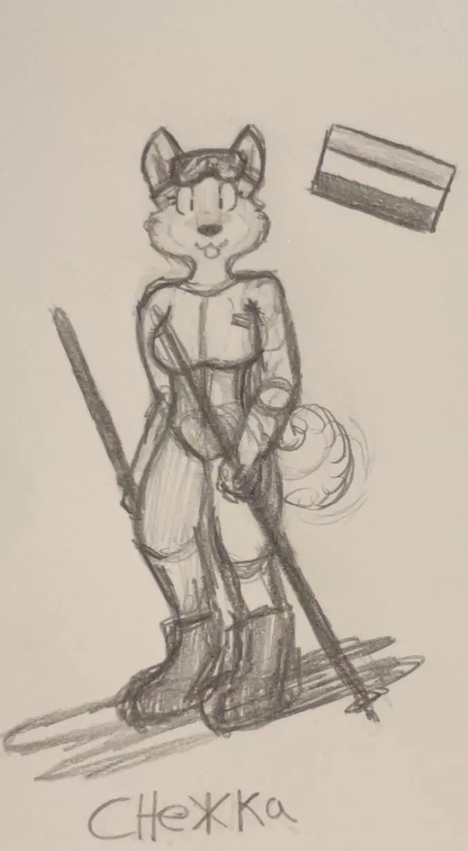 Ski Husky