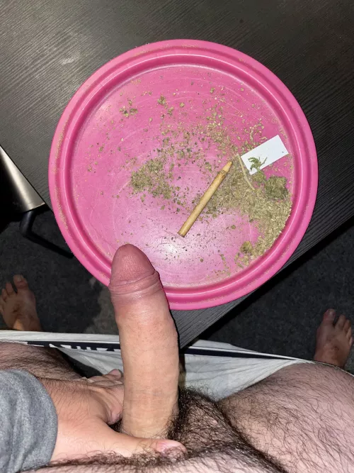 Suck me while I roll a fat blunt and fuck (m)e while we smoke it