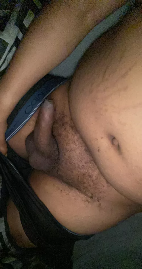 Big uncut bear cock