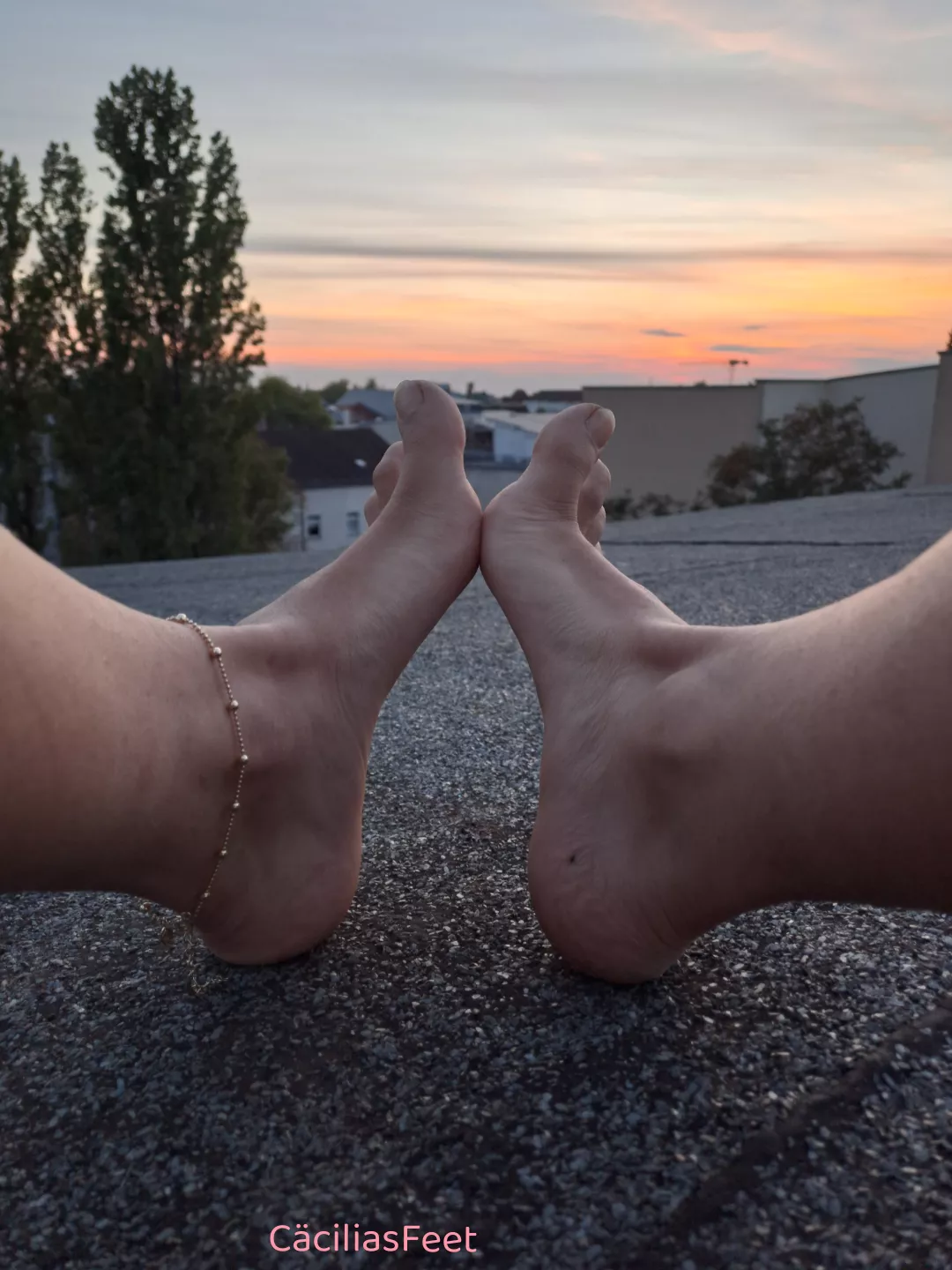 for all the feet fetishists out there, my onlyfans is solely dedicated to feetcontent👣👣