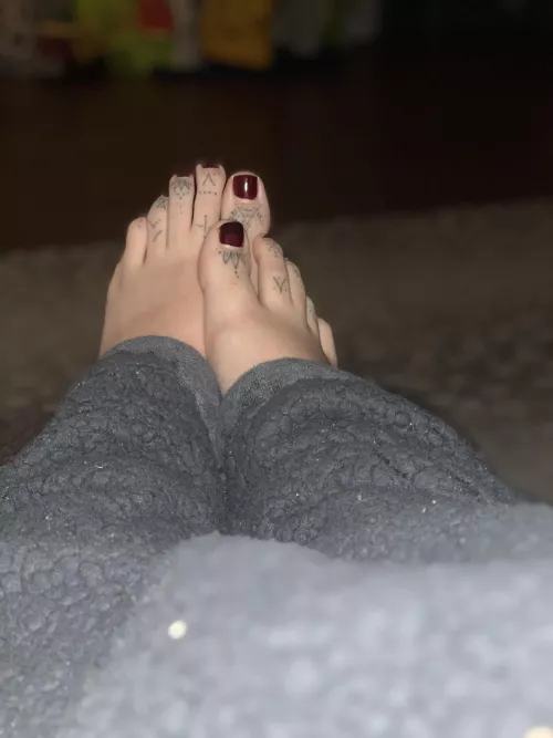Looking for someone to lick my toes and work their way up. Any takers? 😘